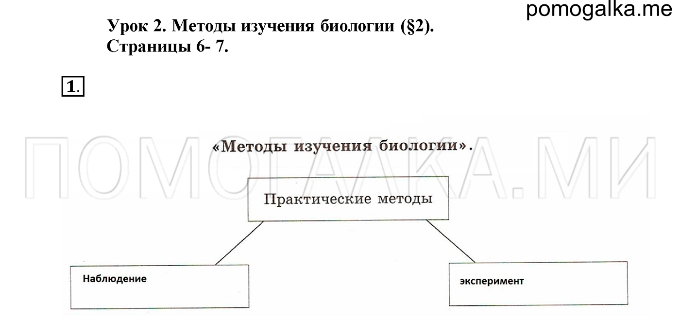 Технологическая карта урока биология пасечник. Биология 5 класс рабочая тетрадь Пасечник. Биология 5 класс рабочая тетрадь Пасечник с бабочкой. Таблица среды жизни 5 класс Пасечник линия жизни гдз. Гдз по биологии 5 класс рабочая тетрадь Пасечник с ракушкой.