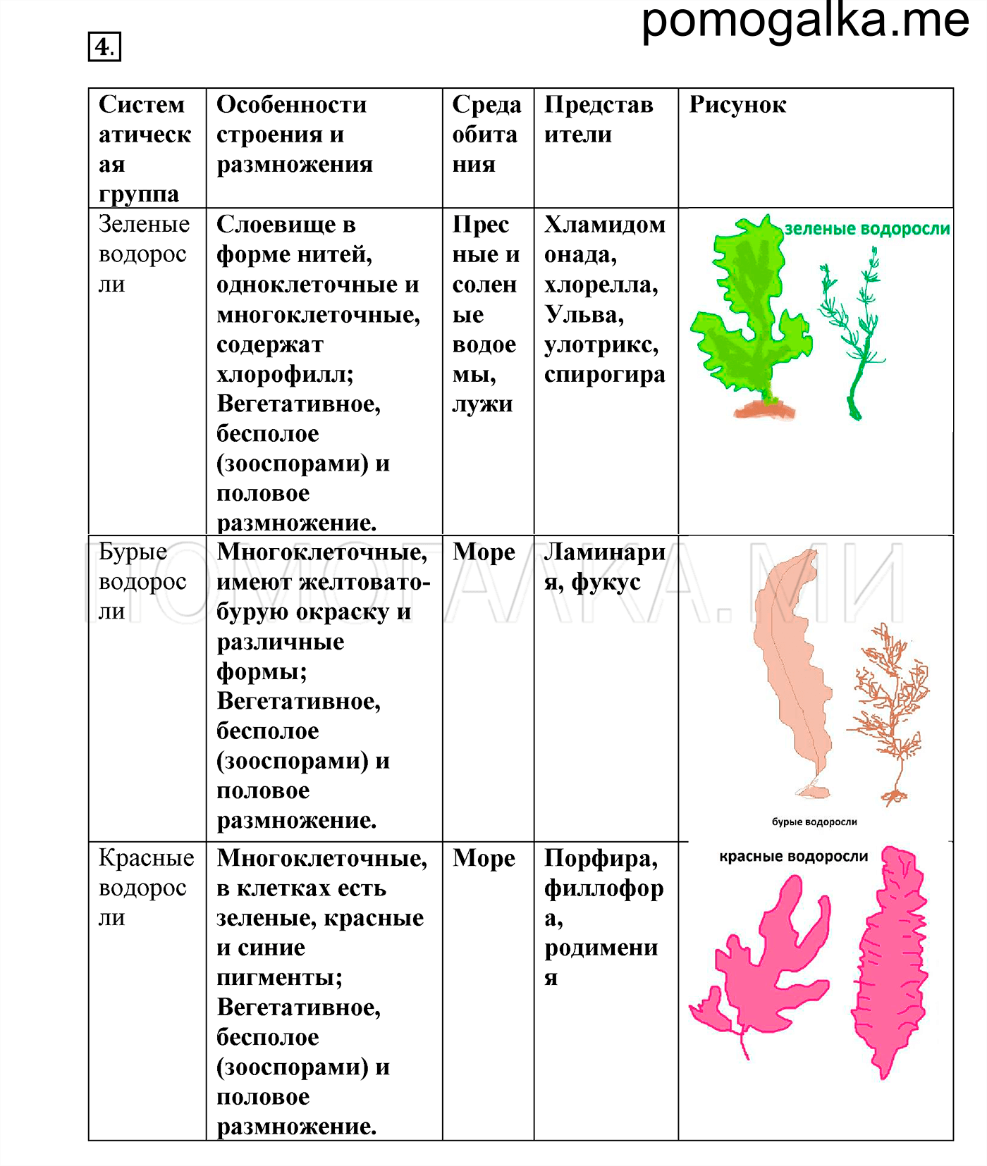 Таблица красные бурые водоросли