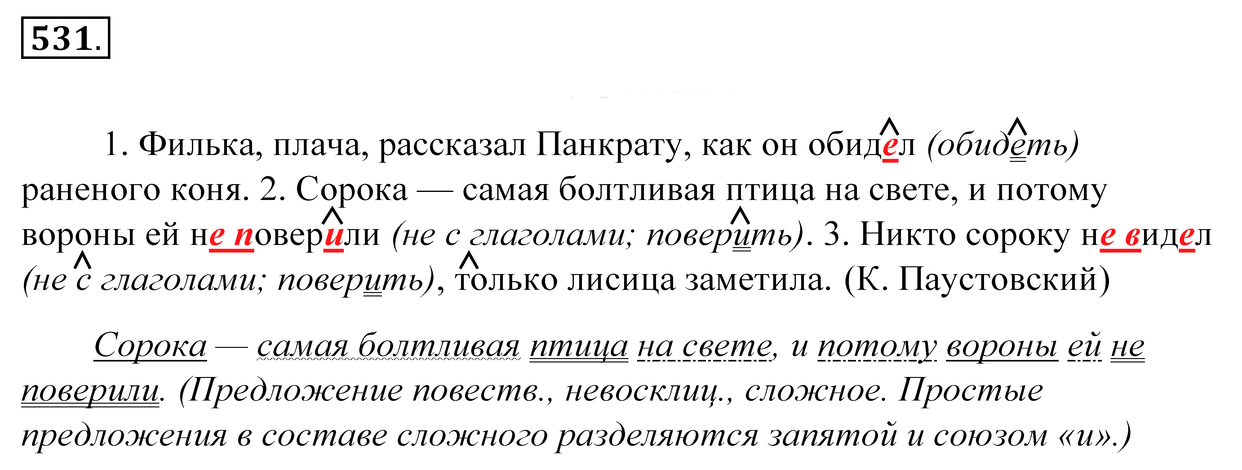 В доме у панкрата жила ручная. Русский язык 5 класс 531. Русский язык упражнение 531. Номер 531 по русскому языку 5 класс. Русский язык пятый класс упражнение 531.