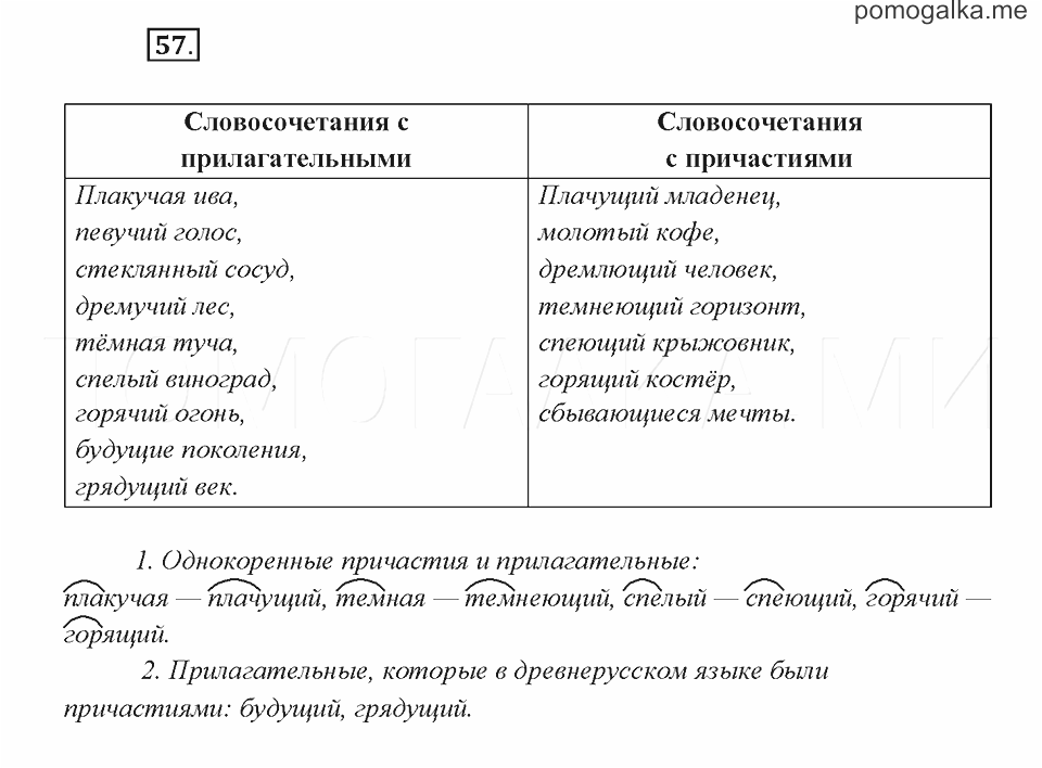 Русский язык 7 класс рыбченкова