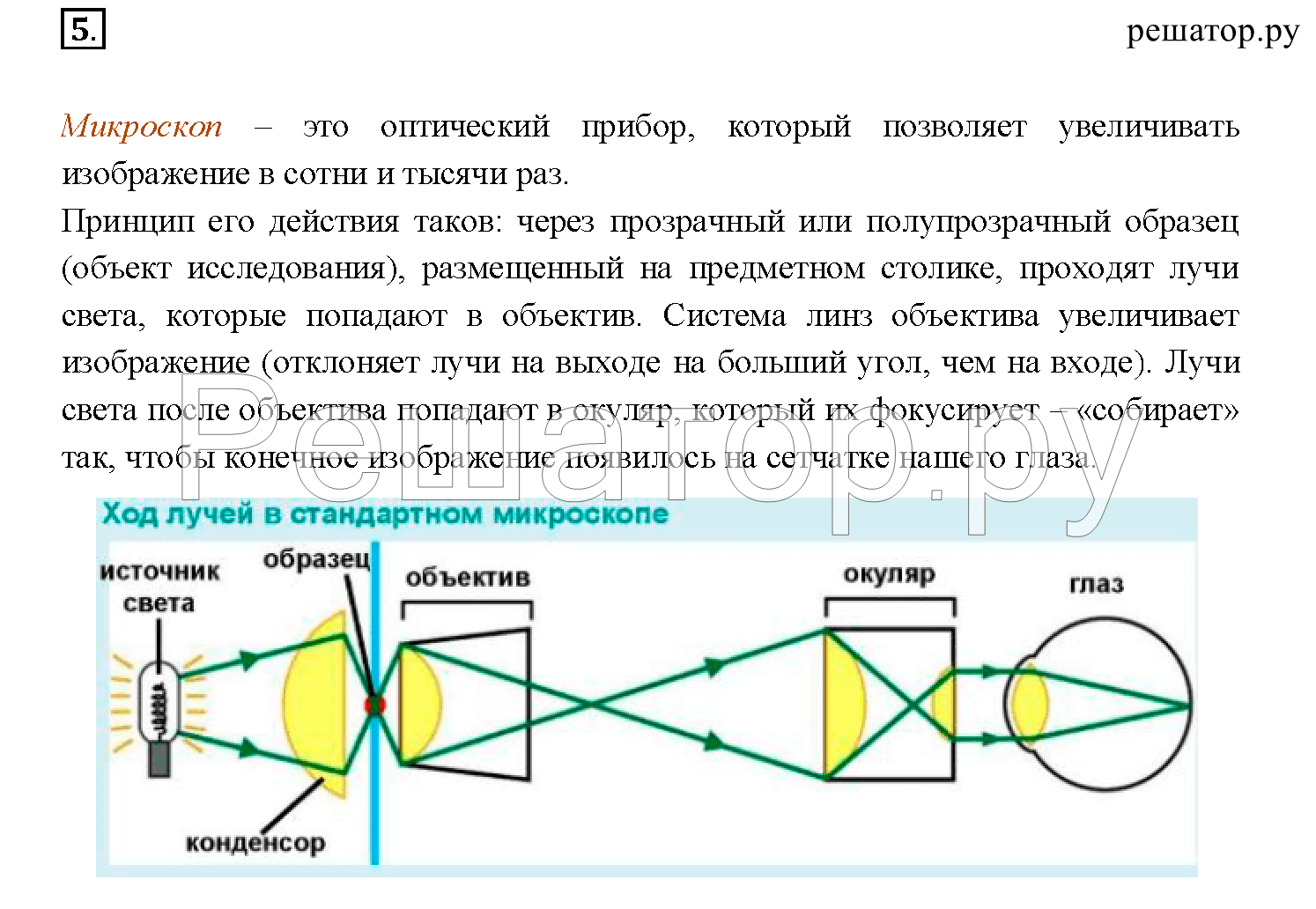 Схема лучей в микроскопе