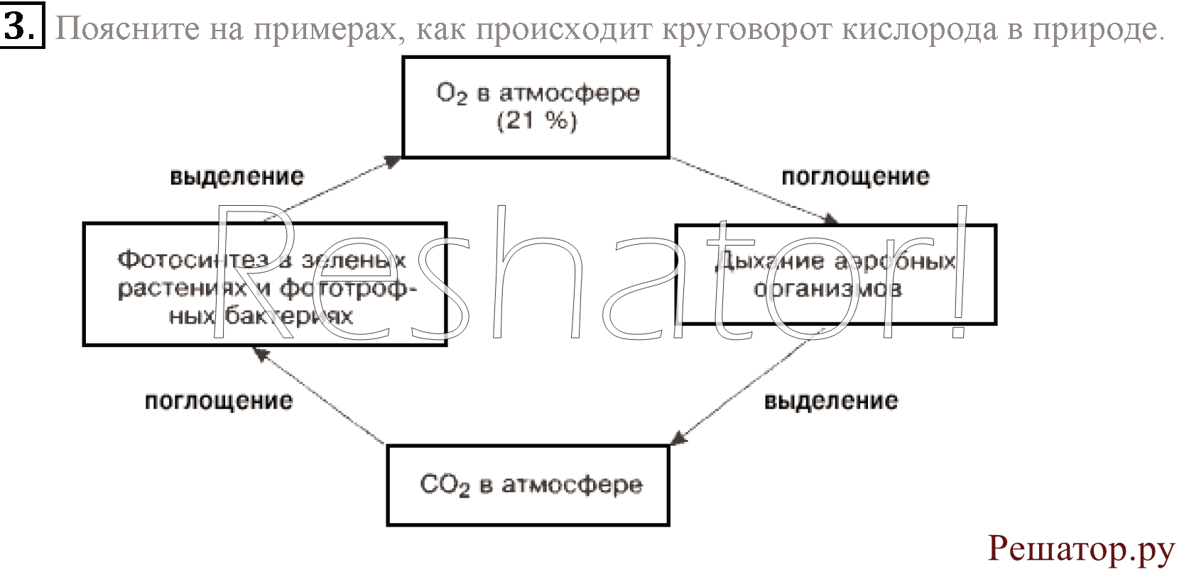 Круговорот кислорода в природе схема рисунок